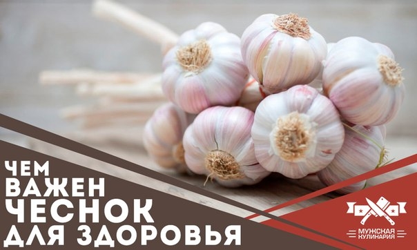 Чеснок для здоровья Чеснок для здоровья