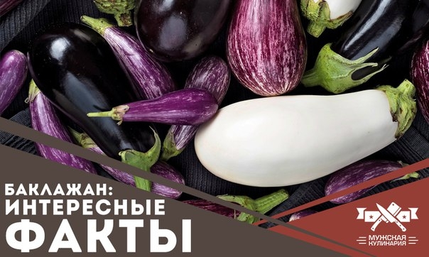 Баклажан: интересные факты