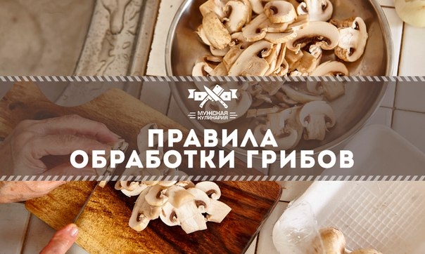 Правила обработки грибов