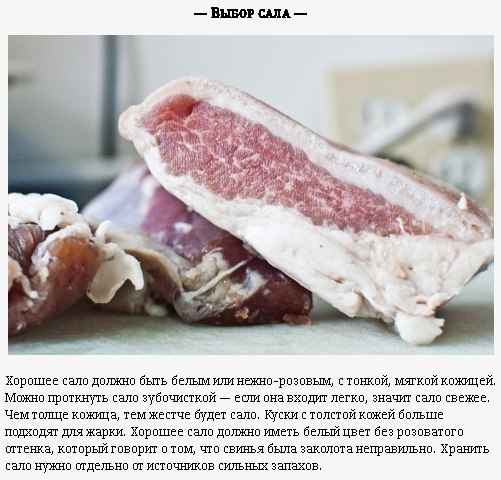 Методы идеальной засолки сала
