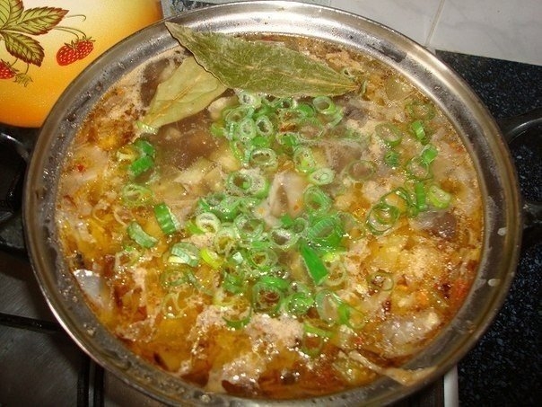 Солянка грибная Солянка грибная