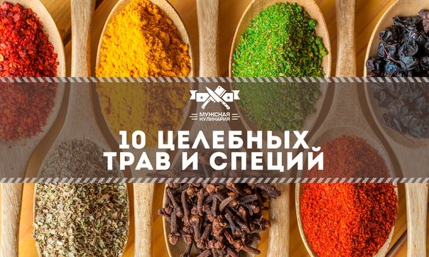 10 целебных трав и специй