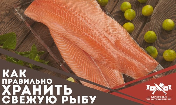 Как правильно хранить свежую рыбу Как правильно хранить свежую рыбу