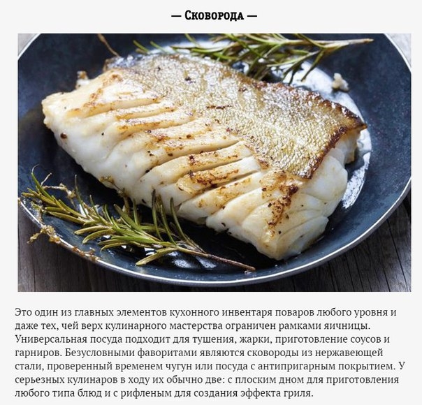 6 типов посуды, которая обязательно пригодится на кухне