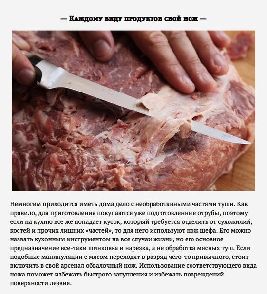 5 способов увеличить срок службы ножей