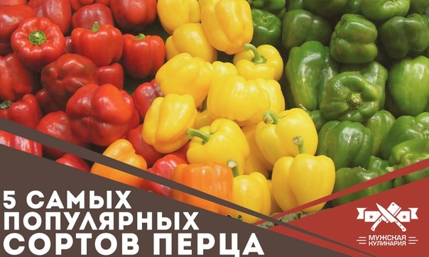 5 самых популярных сортов перца 5 самых популярных сортов перца