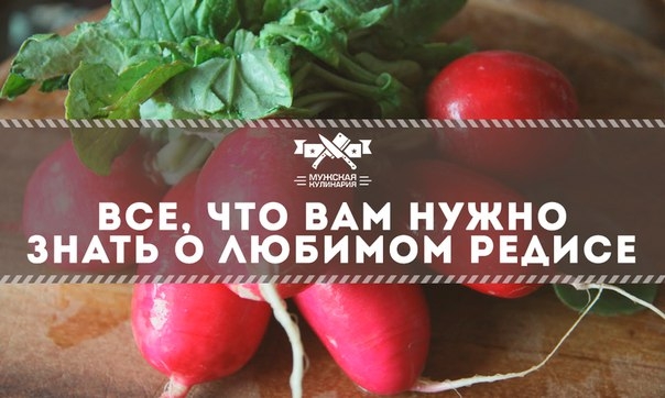 Все, что вам нужно знать о любимом редисе