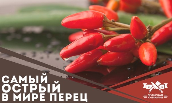 Самый острый в мире перец