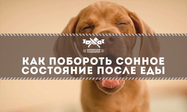Как побороть сонное состояние после еды?
