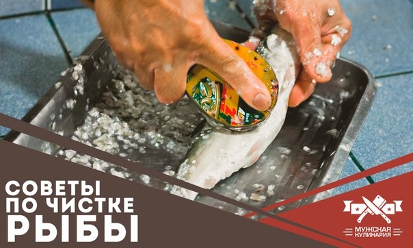 Советы по чистке рыбы Советы по чистке рыбы