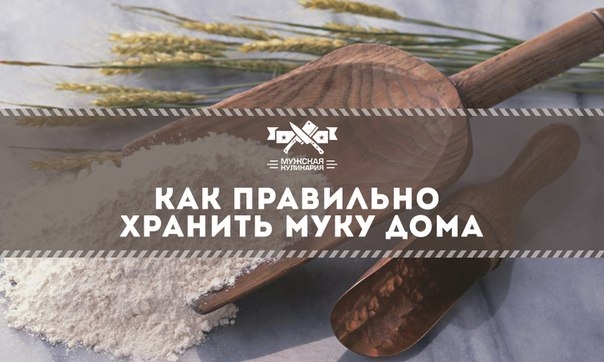 Как правильно хранить муку дома Как правильно хранить муку дома