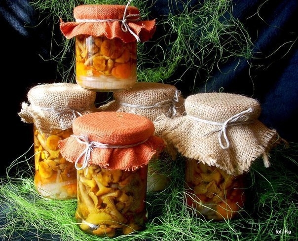 Малосольные и маринованные лисички