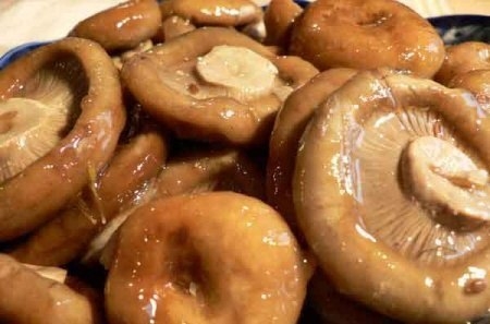 Рыжики маринованные Рыжики маринованные