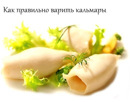 Как правильно варить кальмары Как правильно варить кальмары