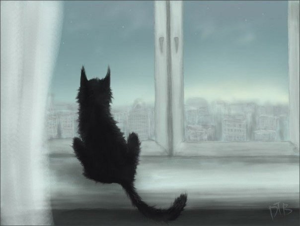 Жизнь - бумеранг. К тому и ведётся: Жизнь - бумеранг. К тому и ведётся:
