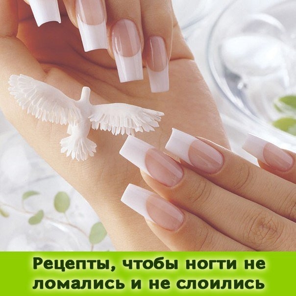 Чтобы ногти не ломались и не слоились - рецепты Чтобы ногти не ломались и не слоились - рецепты