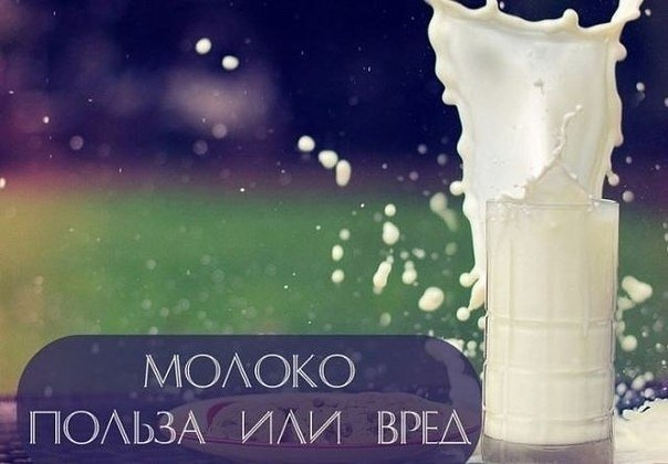 "Мы часто слышим с экрана телевизора, что нет ничего полезнее молока. Но так ли это на самом деле? В