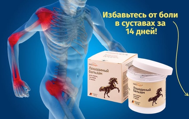 Почему “Лошадиный бальзам” эффективнее других средств для лечения суставов? Почему “Лошадиный бальзам” эффективнее других средств для лечения суставов?
