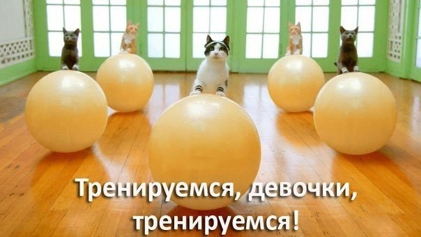 Рейтинг самых необходимых домашних тренажеров Рейтинг самых необходимых домашних тренажеров