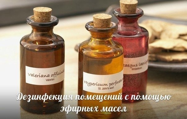 Дезинфекции помещения c помощью эфирных масел