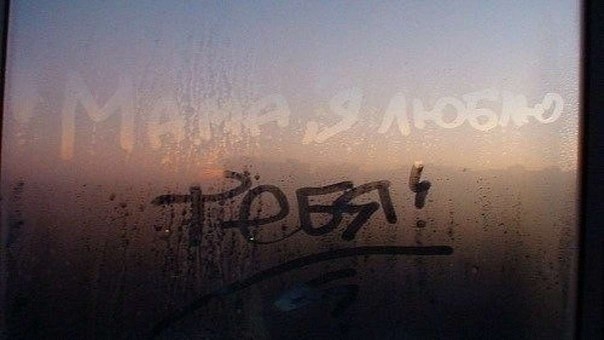Прости меня, мама, за грубое слово,