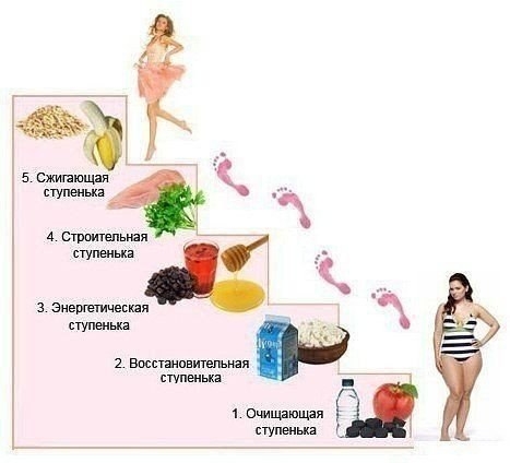 ПОЭТАПНАЯ СИСТЕМА ПОХУДЕНИЯ &laquo;Лесенка&raquo; - это ступенчатая диета.