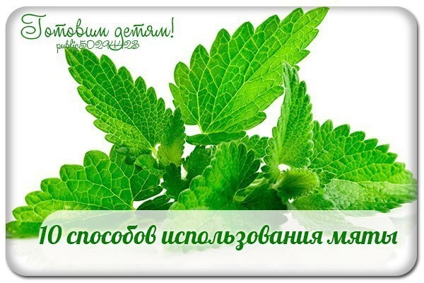 10 способов использования мяты.