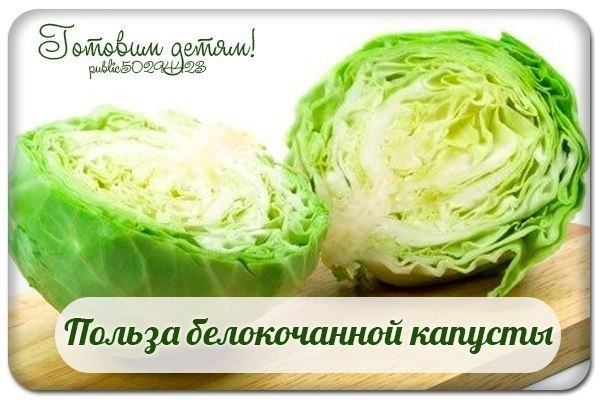 Польза белокочанной капусты.