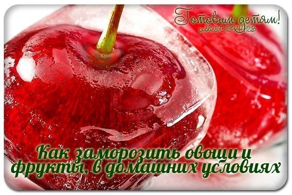 Как заморозить овощи и фрукты, ягоды и грибы в домашних условиях.