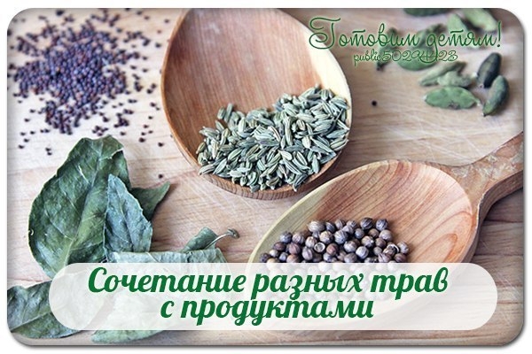 Сочетание разных трав с продуктами.