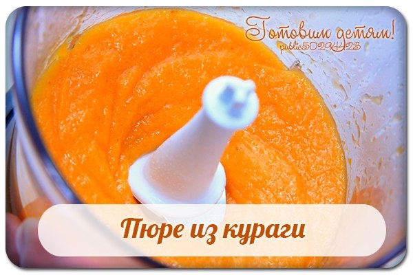 Пюре из кураги. Пюре из кураги.