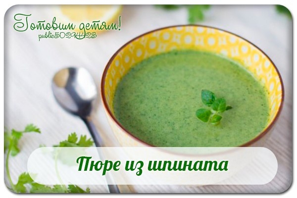 Пюре из шпината. Пюре из шпината.