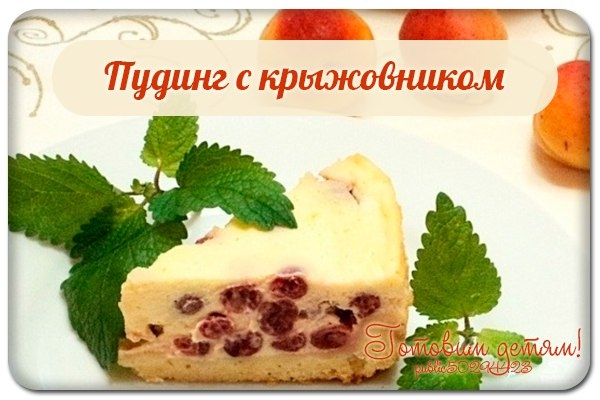 Пудинг с крыжовником.