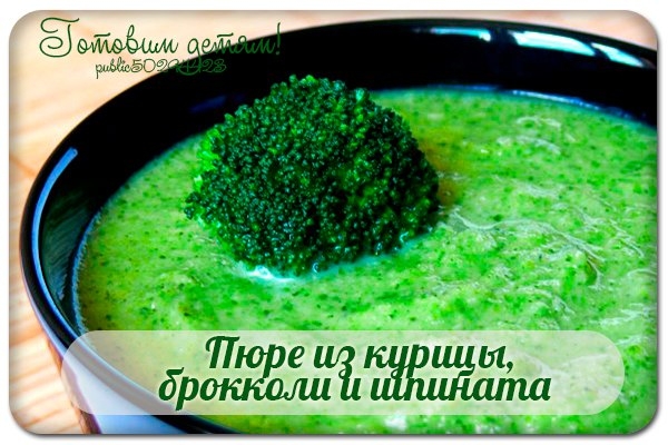 Пюре из курицы, брокколи и шпината (на порцию 250 г)