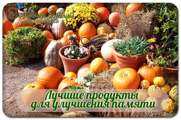 Лучшие продукты для улучшения памяти!