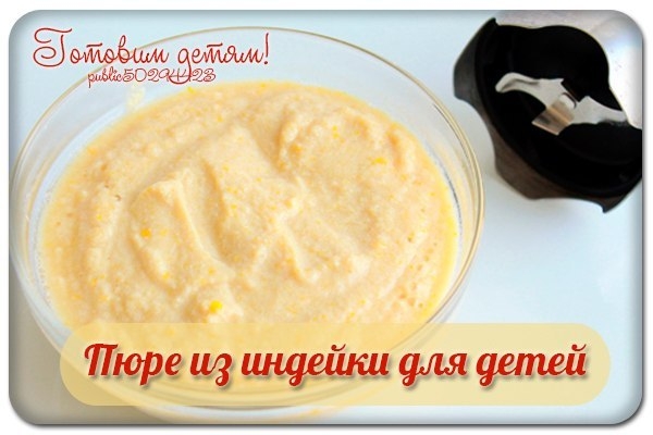 Мясное пюре из индейки для детей. Мясное пюре из индейки для детей.