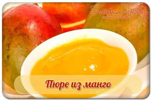 Пюре из манго. Пюре из манго.
