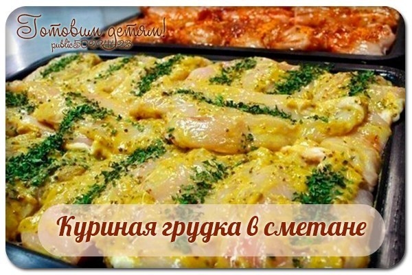 Куриная грудка в сметане.