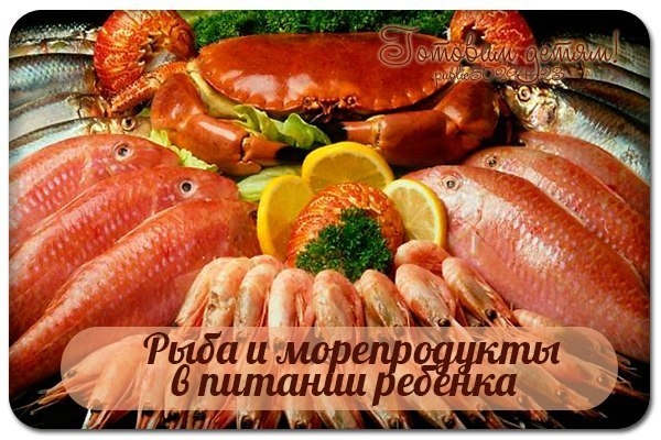 Рыба и морепродукты в питании ребенка от 1 года до 3 лет