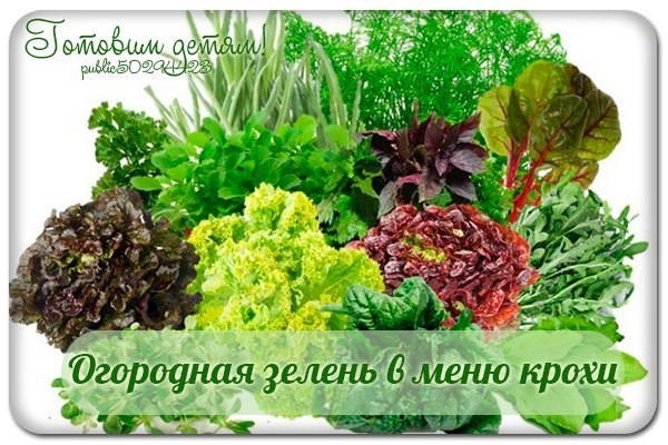 Огородная зелень в меню крохи