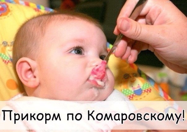 ПРИКОРМ ПО КОМАРОВСКОМУ!
