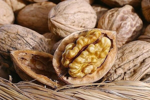 Грецкому ореху по праву присвоено звание суперпродукта.