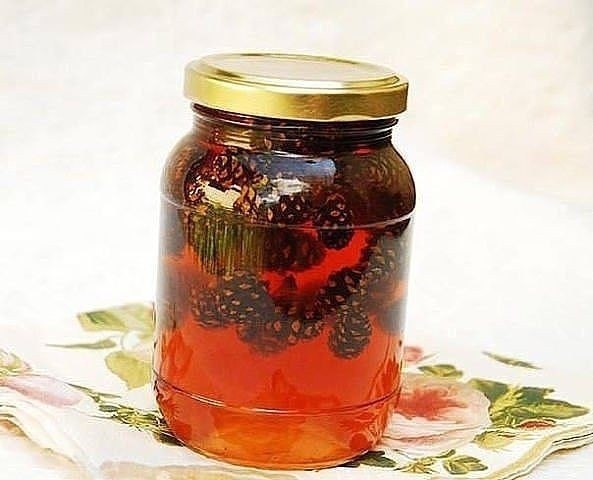 ЛЕЧЕБНЫЙ СИРОП ИЗ ЕЛОВЫХ ШИШЕК.