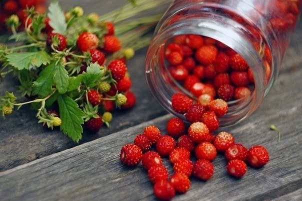 5 продуктов, продлевающих жизнь 5 продуктов, продлевающих жизнь