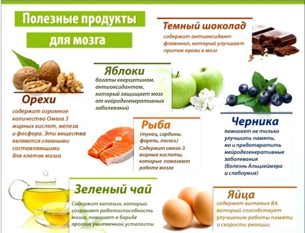 Как питать свой мозг?
