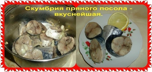Скумбрия пряного посола - вкуснейшая