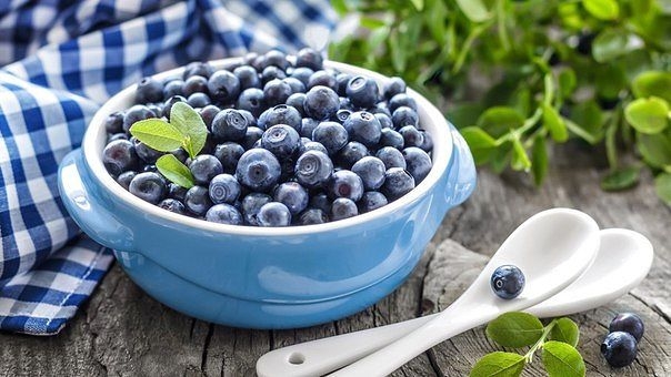 ПОЛЕЗНАЯ ЧЕРНИКА