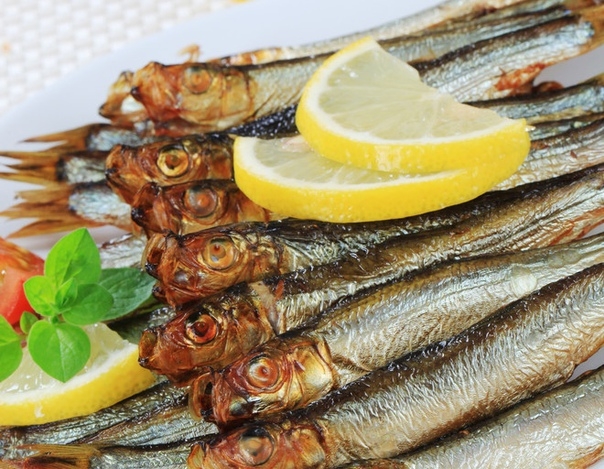 ШПРОТЫ ИЗ САЛАКИ ШПРОТЫ ИЗ САЛАКИ