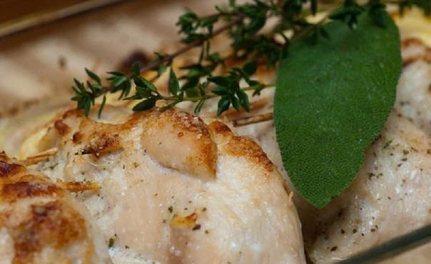 СОЧНАЯ КУРИНАЯ ГРУДКА С АБРИКОСАМИ СОЧНАЯ КУРИНАЯ ГРУДКА С АБРИКОСАМИ