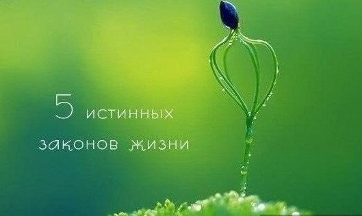 5 истинных законов жизни: